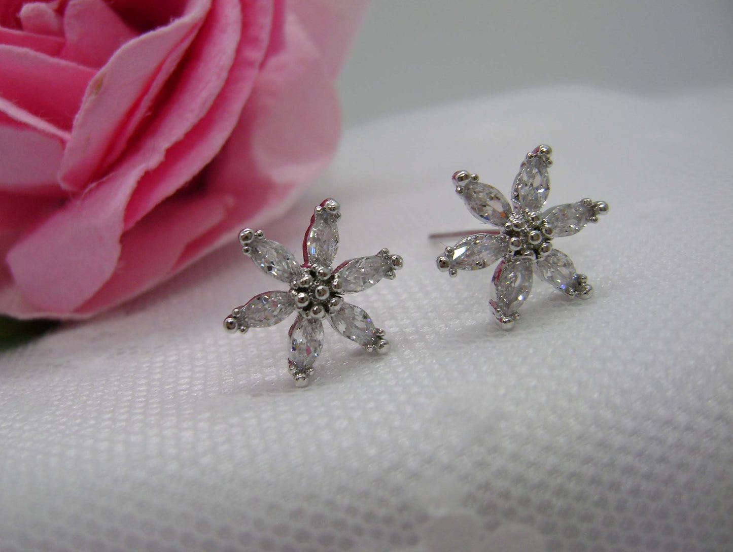Earrings - Silver
