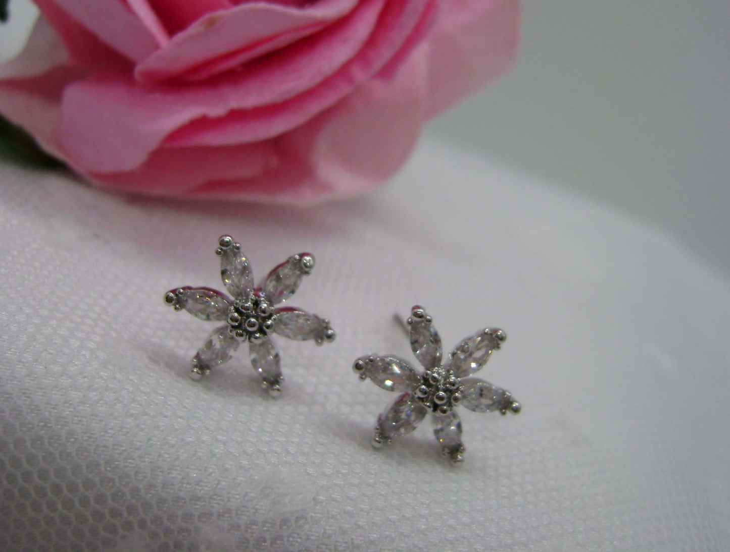 Earrings - Silver